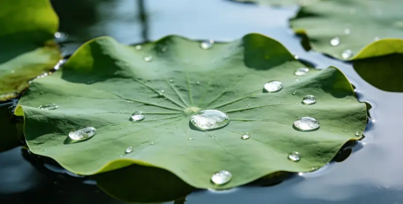 郑州乳腺癌21基因mRNA表达分析图片1